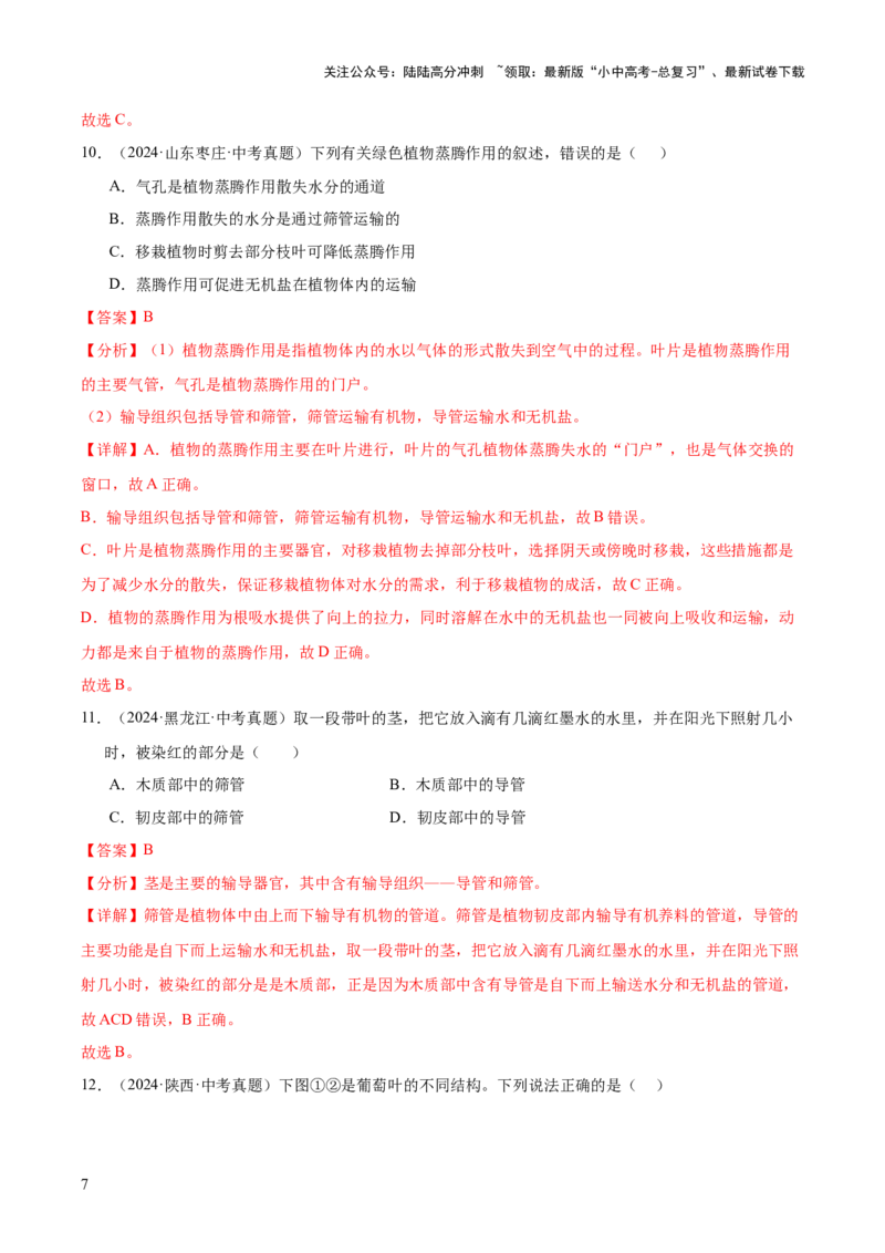 专题04绿色植物的作用（全国通用）（解析版）_02中考总复习（2026版更新中）_08-生物-中考总复习_2026年中考复习（更新中）