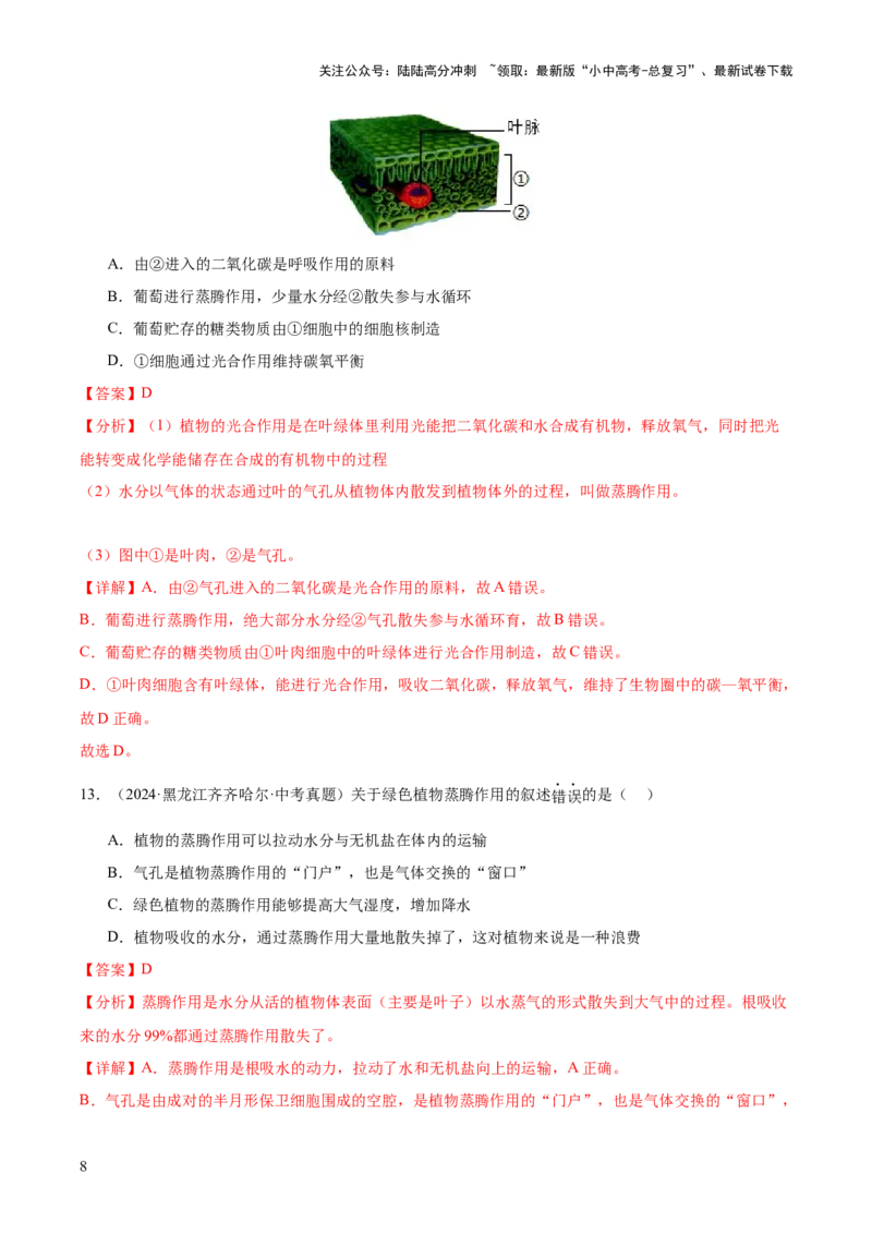 专题04绿色植物的作用（全国通用）（解析版）_02中考总复习（2026版更新中）_08-生物-中考总复习_2026年中考复习（更新中）
