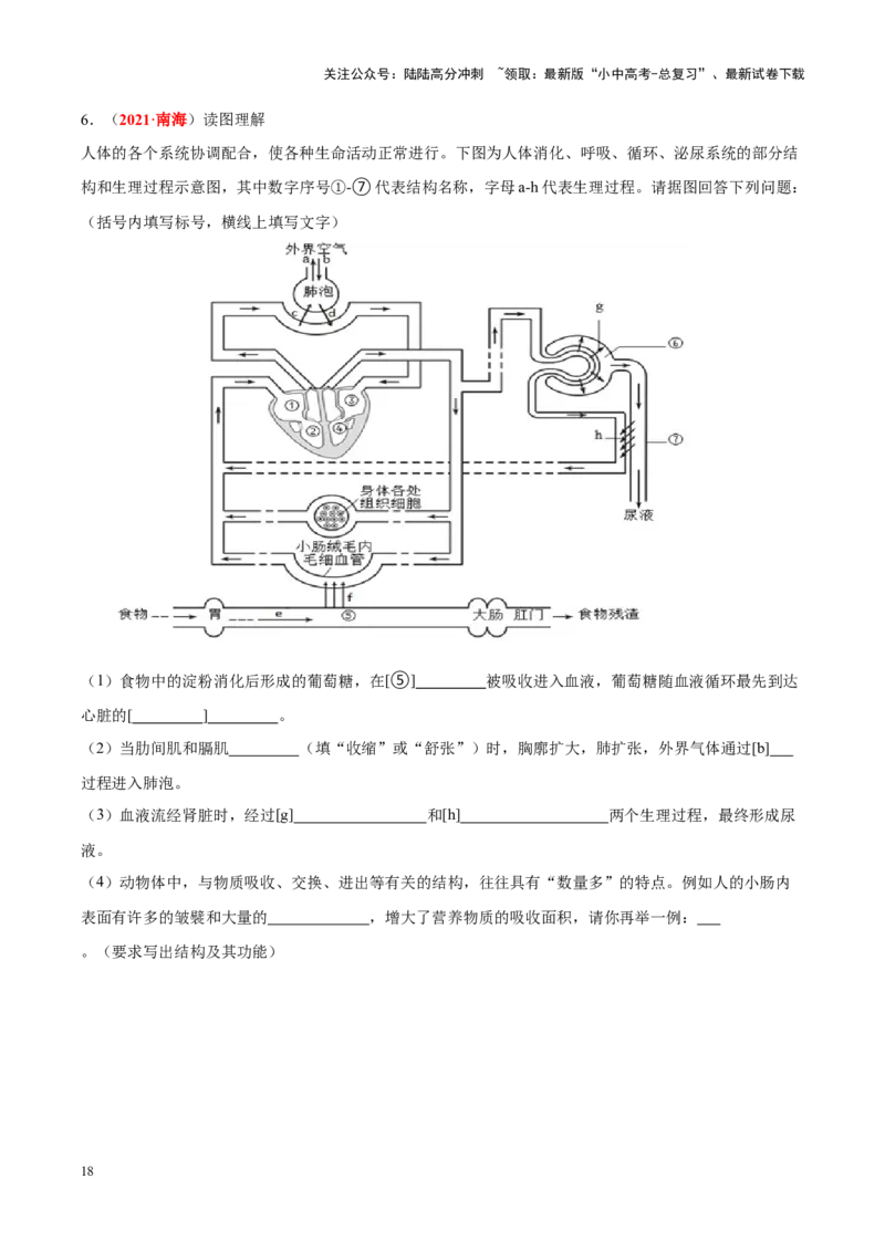专题06&nbsp;人体的营养和呼吸（原卷版）_02中考总复习（2026版更新中）_08-生物-中考总复习_2024年中考复习资料_专项复习_完三年（2021-2023）中考生物真题分项汇编（全国通用）