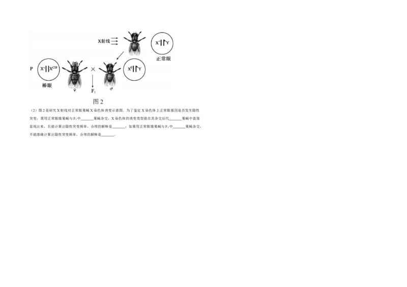 2014年江苏省高考生物试卷_全国卷+地方卷_6.生物_1.生物高考真题试卷_2008-2020年_地方卷_江苏高考生物07-20_A3word版