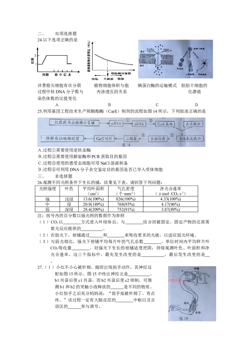2014广东高考理综生物试卷及答案_全国卷+地方卷_6.生物_1.生物高考真题试卷_2008-2020年_地方卷_广东高考生物08-20