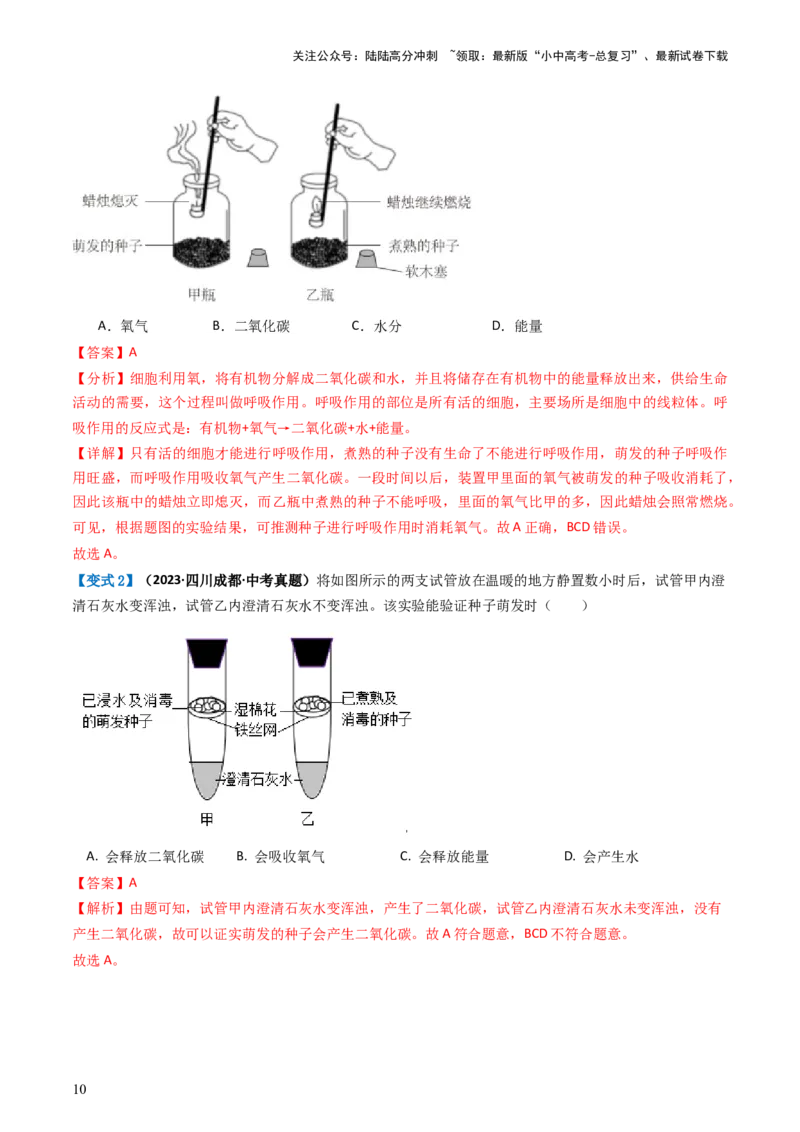 专题08绿色植物的呼吸作用（讲义）（解析版）_02中考总复习（2026版更新中）_08-生物-中考总复习_2024年中考复习资料_一轮复习_❤2024年中考生物一轮复习讲练测（全国通用）_讲义