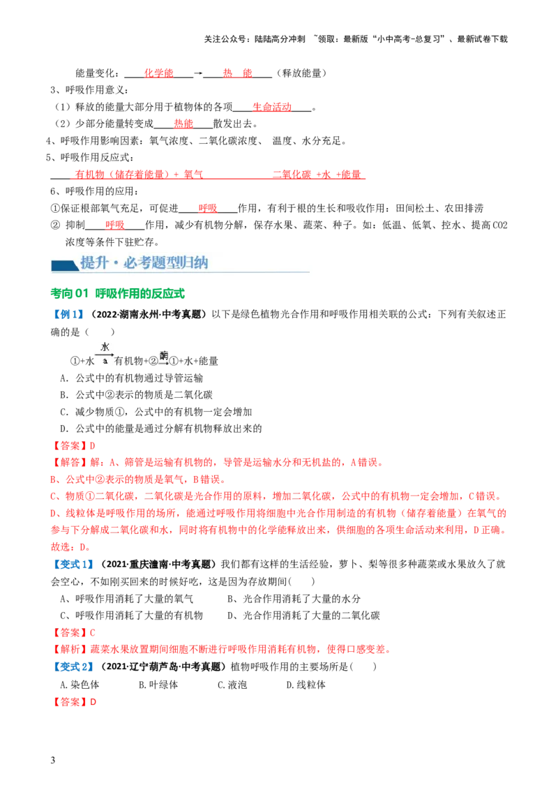 专题08绿色植物的呼吸作用（讲义）（解析版）_02中考总复习（2026版更新中）_08-生物-中考总复习_2024年中考复习资料_一轮复习_❤2024年中考生物一轮复习讲练测（全国通用）_讲义