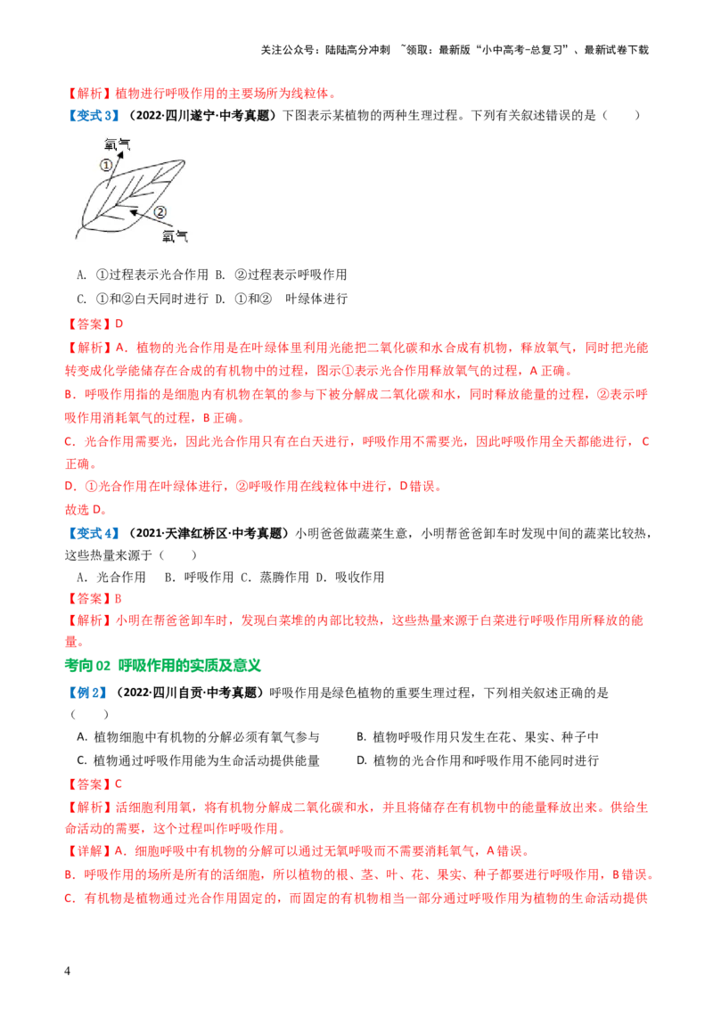 专题08绿色植物的呼吸作用（讲义）（解析版）_02中考总复习（2026版更新中）_08-生物-中考总复习_2024年中考复习资料_一轮复习_❤2024年中考生物一轮复习讲练测（全国通用）_讲义
