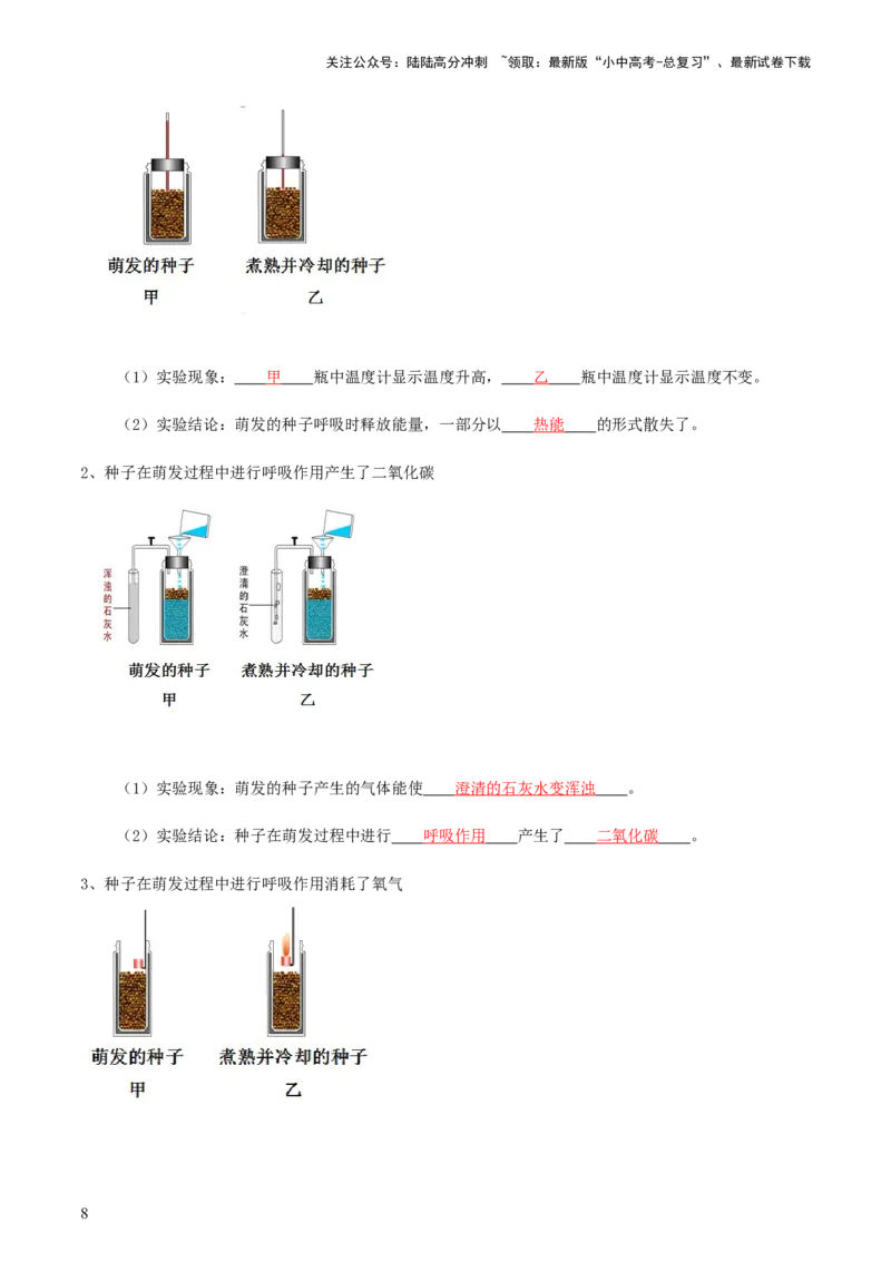 专题08绿色植物的呼吸作用（讲义）（解析版）_02中考总复习（2026版更新中）_08-生物-中考总复习_2024年中考复习资料_一轮复习_❤2024年中考生物一轮复习讲练测（全国通用）_讲义