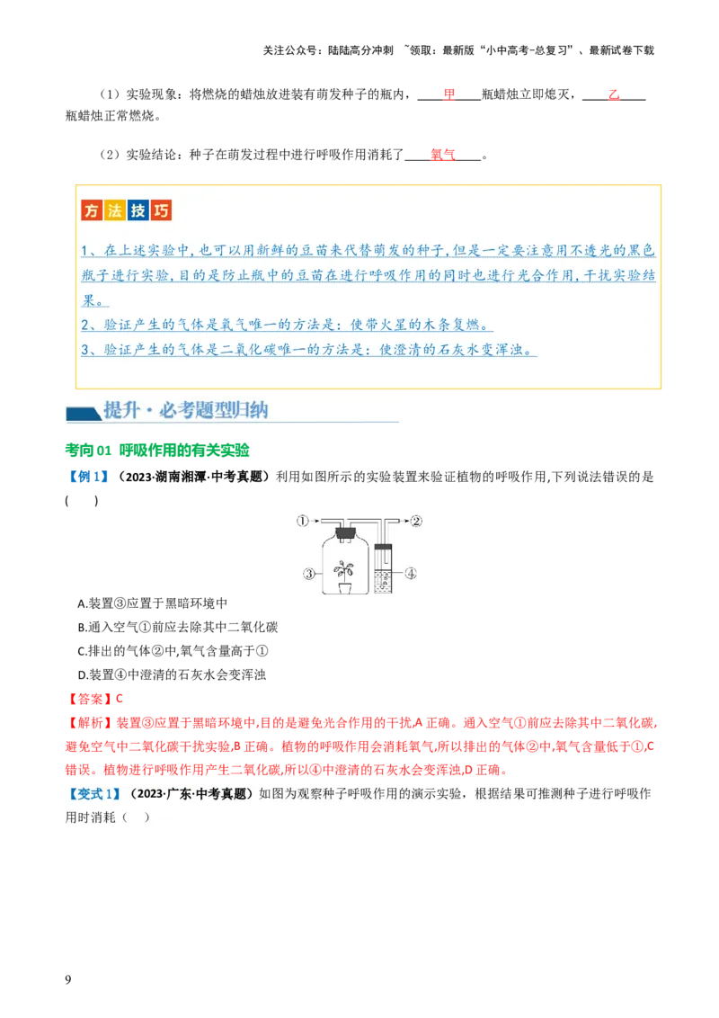 专题08绿色植物的呼吸作用（讲义）（解析版）_02中考总复习（2026版更新中）_08-生物-中考总复习_2024年中考复习资料_一轮复习_❤2024年中考生物一轮复习讲练测（全国通用）_讲义