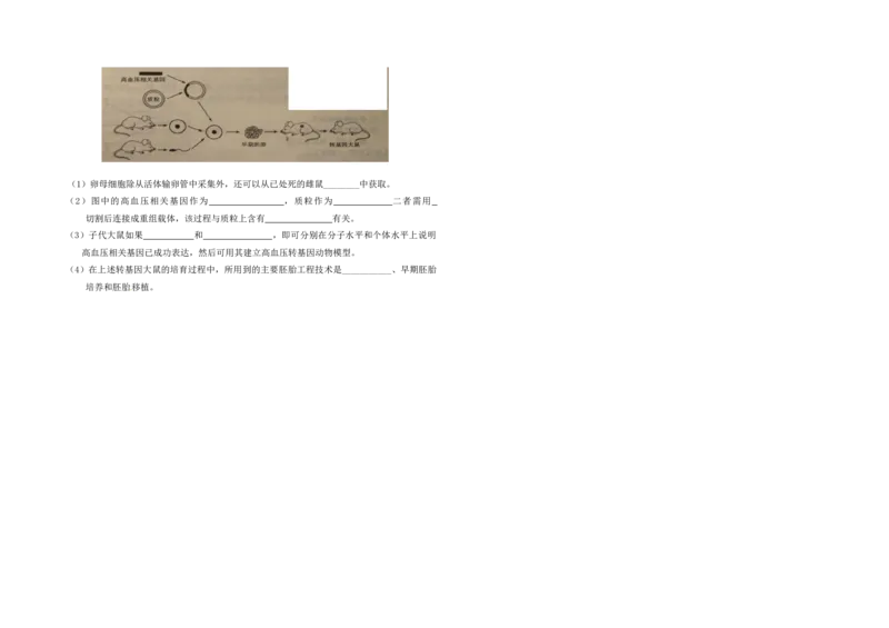 2011年高考真题生物（山东卷）（原卷版）_全国卷+地方卷_6.生物_1.生物高考真题试卷_2008-2020年_地方卷_山东高考生物08-21_山东高考生物_A3版