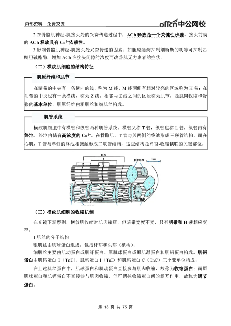 2-专项讲解班-《生理学》-学员版_26事业职测+综合_闲鱼2026事业单位职测+综合_2.综应或写作等_00ABCDE类综应笔记_05综应e类笔记_2.医学基础讲义题目