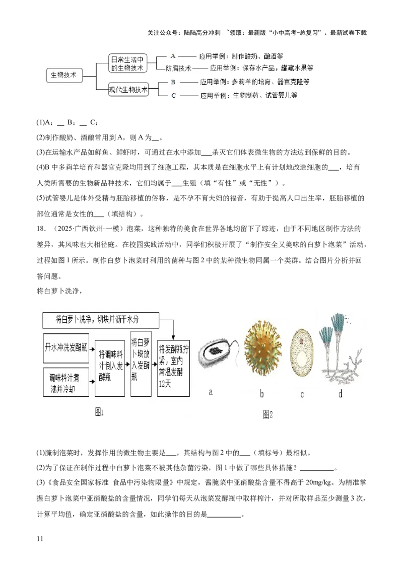 专题08生物技术（答题模板）（原卷版）_02中考总复习（2026版更新中）_08-生物-中考总复习_2025中考复习资料_2025年中考生物答题方法模板