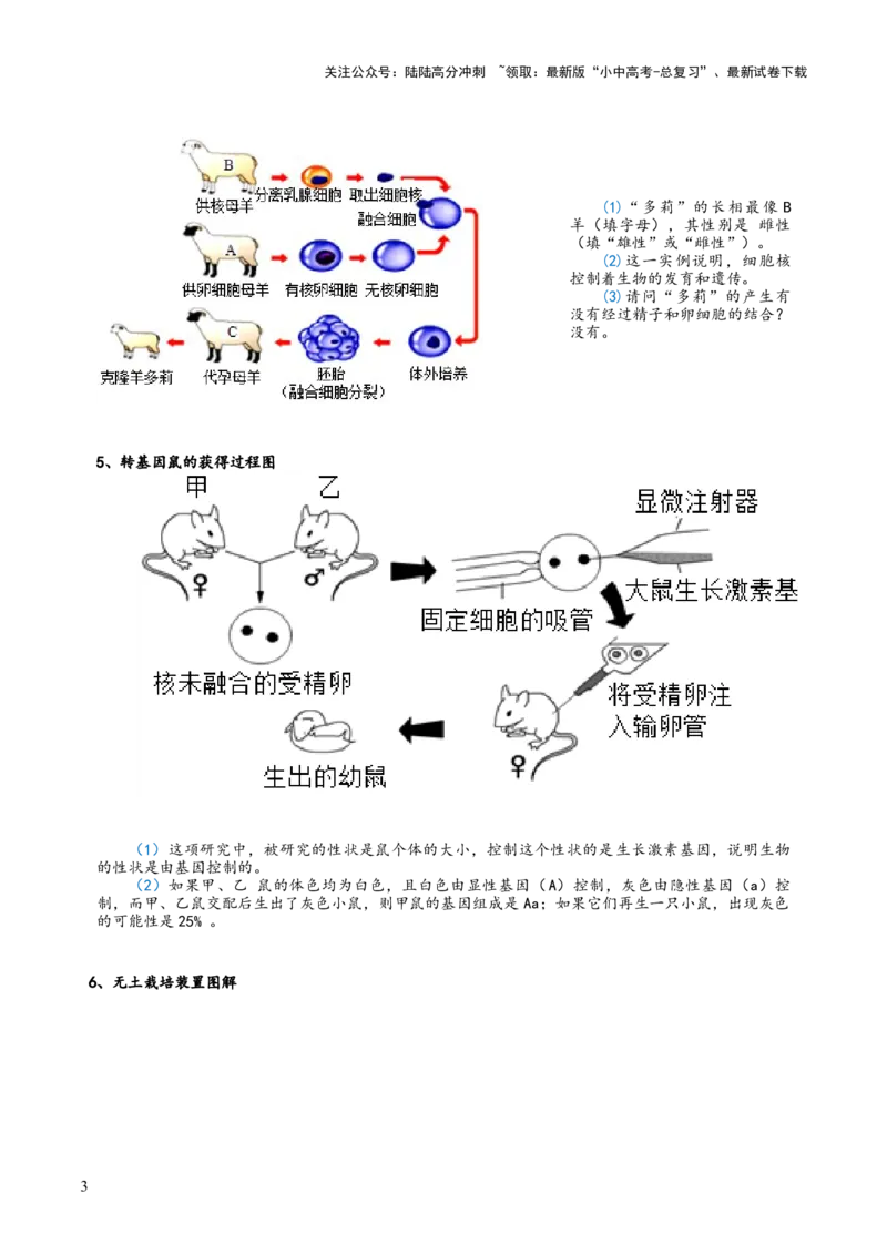 专题08生物技术（答题模板）（原卷版）_02中考总复习（2026版更新中）_08-生物-中考总复习_2025中考复习资料_2025年中考生物答题方法模板