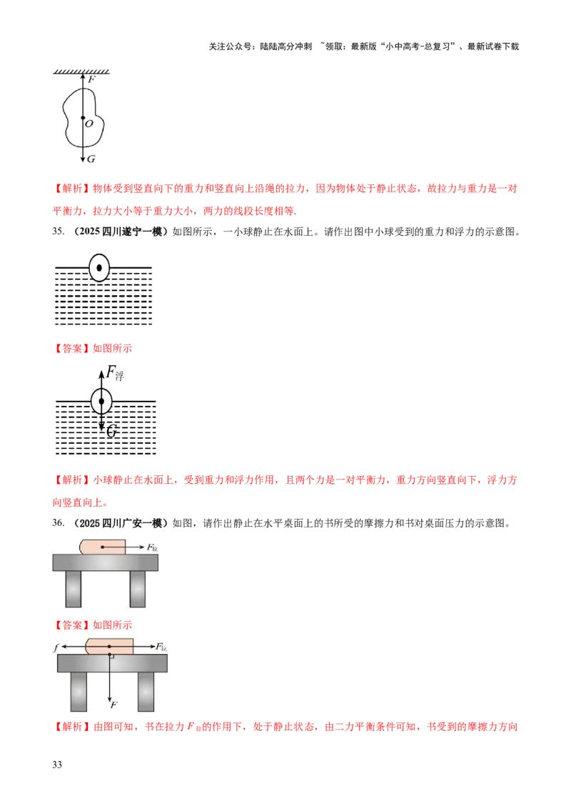 专题05平衡力（含相互作用力）与摩擦力问题（解析版）_02中考总复习（2026版更新中）_04-物理-中考总复习_2025年中考复习资料_2025年中考物理答题方法模板