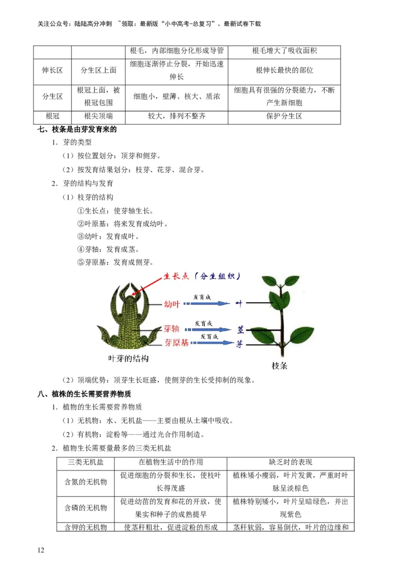 专题08被子植物的一生（原卷版）_02中考总复习（2026版更新中）_08-生物-中考总复习_2024年中考复习资料_专项复习_备战2024年中考生物真题题源解密