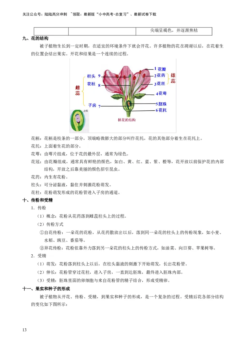专题08被子植物的一生（原卷版）_02中考总复习（2026版更新中）_08-生物-中考总复习_2024年中考复习资料_专项复习_备战2024年中考生物真题题源解密