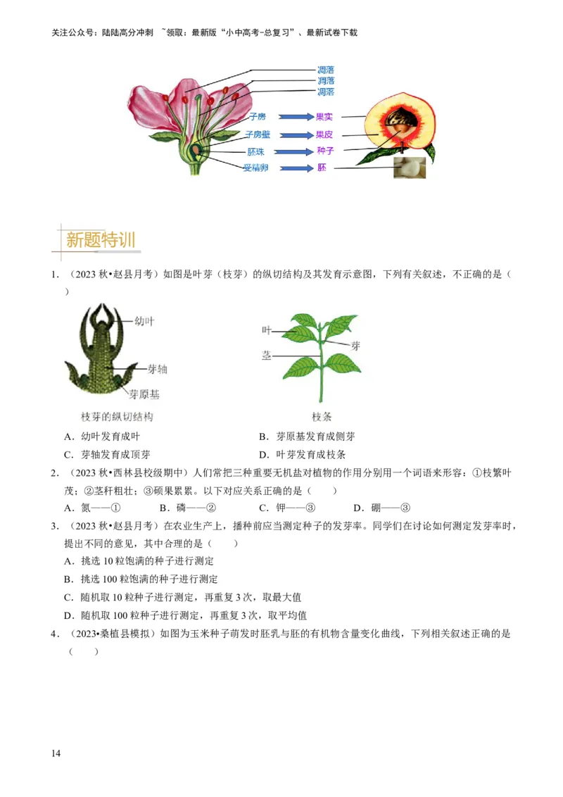 专题08被子植物的一生（原卷版）_02中考总复习（2026版更新中）_08-生物-中考总复习_2024年中考复习资料_专项复习_备战2024年中考生物真题题源解密