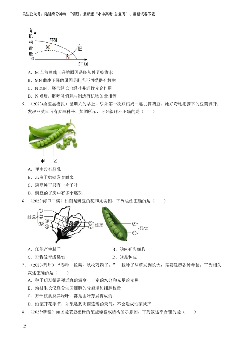 专题08被子植物的一生（原卷版）_02中考总复习（2026版更新中）_08-生物-中考总复习_2024年中考复习资料_专项复习_备战2024年中考生物真题题源解密