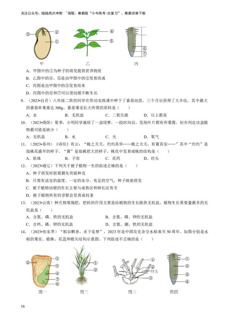 专题08被子植物的一生（原卷版）_02中考总复习（2026版更新中）_08-生物-中考总复习_2024年中考复习资料_专项复习_备战2024年中考生物真题题源解密