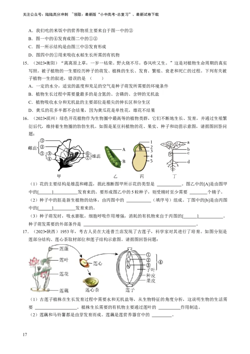 专题08被子植物的一生（原卷版）_02中考总复习（2026版更新中）_08-生物-中考总复习_2024年中考复习资料_专项复习_备战2024年中考生物真题题源解密