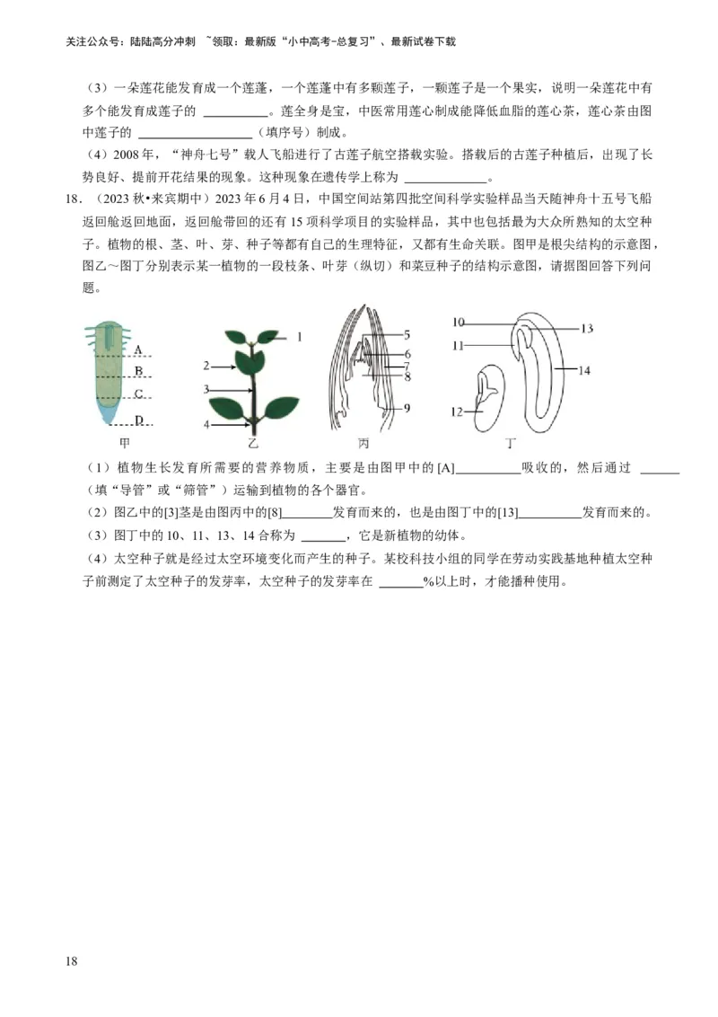 专题08被子植物的一生（原卷版）_02中考总复习（2026版更新中）_08-生物-中考总复习_2024年中考复习资料_专项复习_备战2024年中考生物真题题源解密