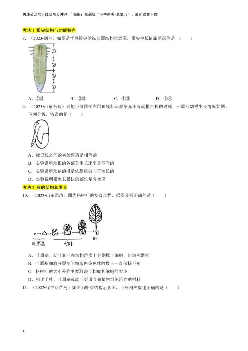 专题08被子植物的一生（原卷版）_02中考总复习（2026版更新中）_08-生物-中考总复习_2024年中考复习资料_专项复习_备战2024年中考生物真题题源解密