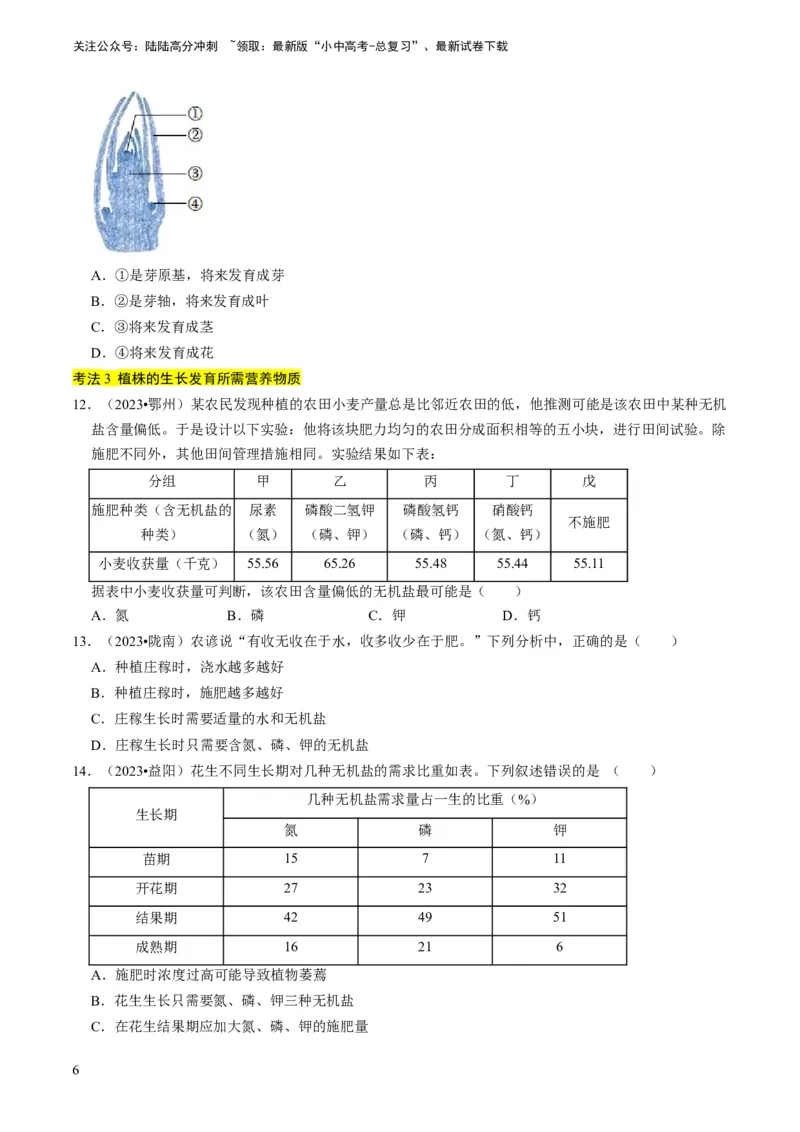 专题08被子植物的一生（原卷版）_02中考总复习（2026版更新中）_08-生物-中考总复习_2024年中考复习资料_专项复习_备战2024年中考生物真题题源解密