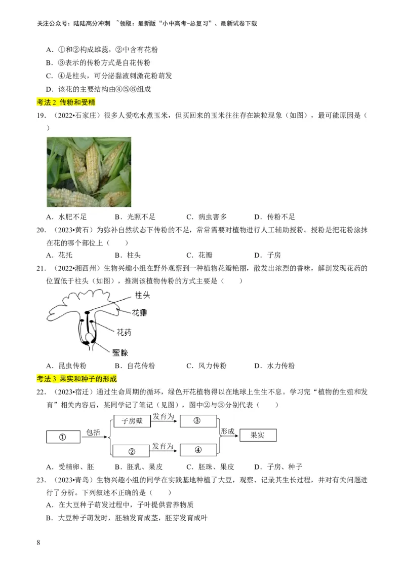 专题08被子植物的一生（原卷版）_02中考总复习（2026版更新中）_08-生物-中考总复习_2024年中考复习资料_专项复习_备战2024年中考生物真题题源解密
