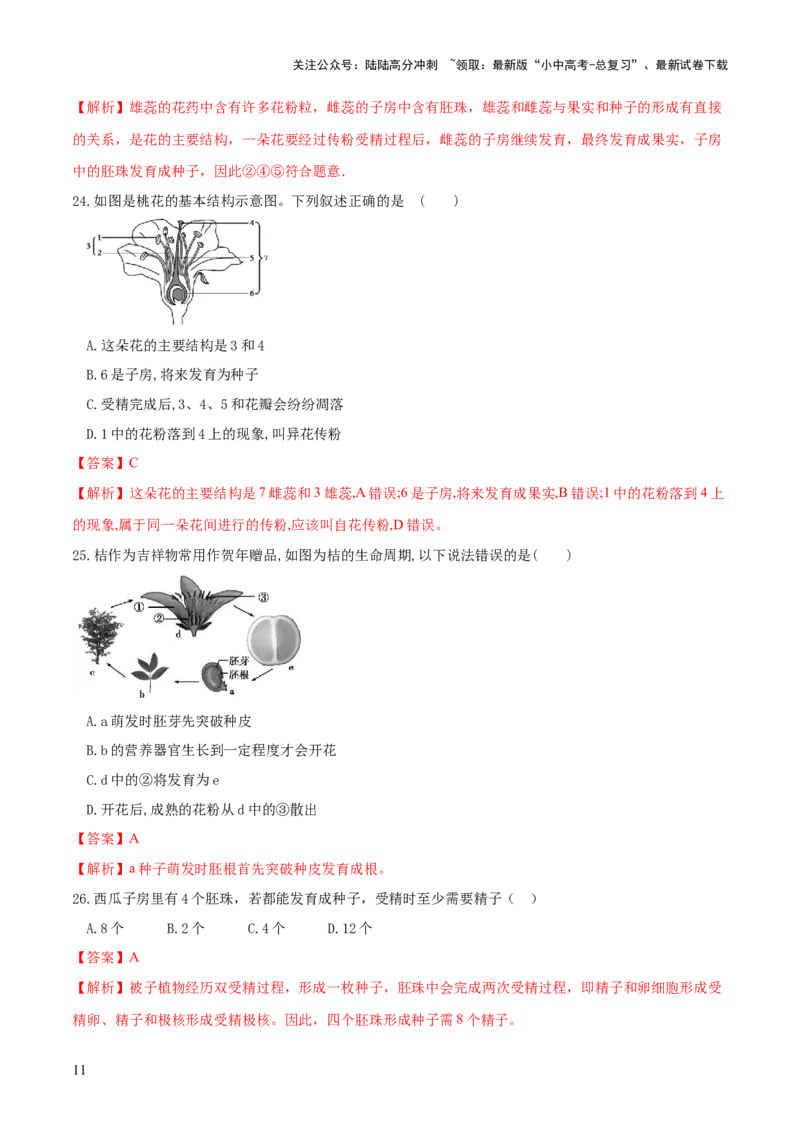 专题05被子植物的一生（练习）（解析版）_02中考总复习（2026版更新中）_08-生物-中考总复习_2024年中考复习资料_一轮复习_❤2024年中考生物一轮复习讲练测（全国通用）_练习