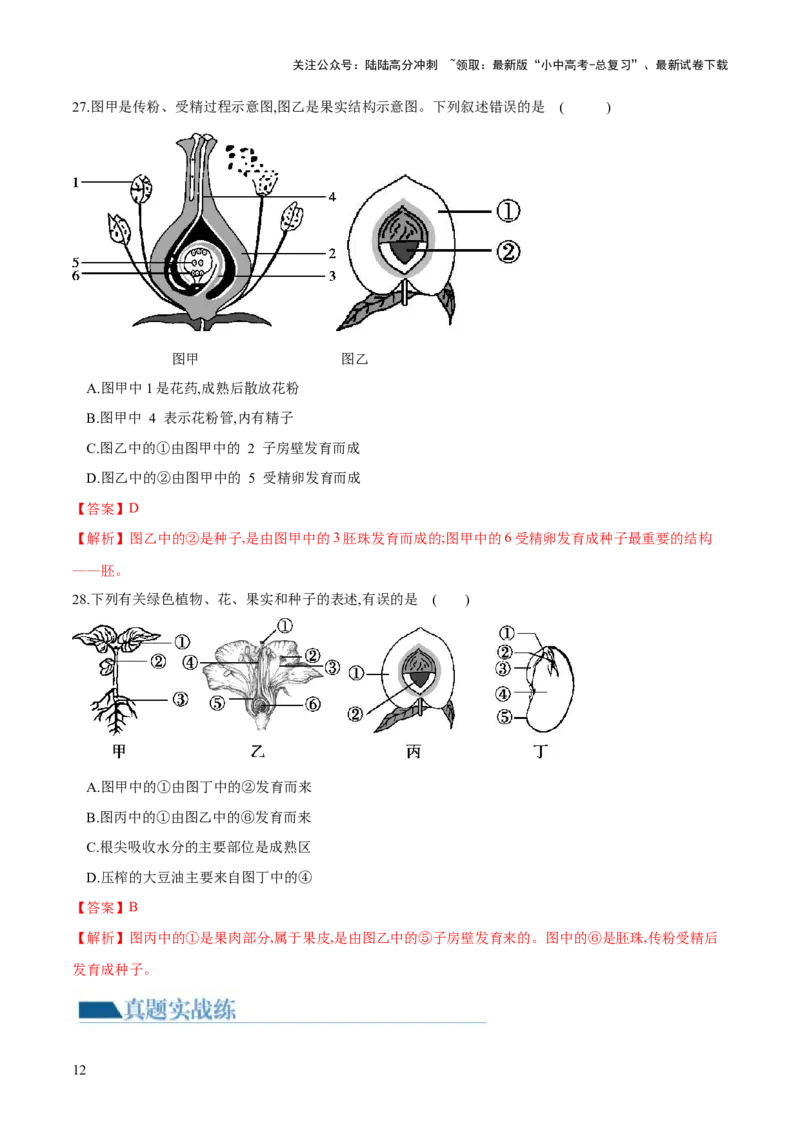 专题05被子植物的一生（练习）（解析版）_02中考总复习（2026版更新中）_08-生物-中考总复习_2024年中考复习资料_一轮复习_❤2024年中考生物一轮复习讲练测（全国通用）_练习