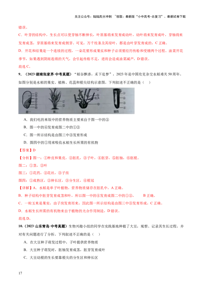 专题05被子植物的一生（练习）（解析版）_02中考总复习（2026版更新中）_08-生物-中考总复习_2024年中考复习资料_一轮复习_❤2024年中考生物一轮复习讲练测（全国通用）_练习