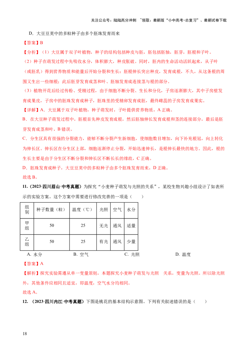 专题05被子植物的一生（练习）（解析版）_02中考总复习（2026版更新中）_08-生物-中考总复习_2024年中考复习资料_一轮复习_❤2024年中考生物一轮复习讲练测（全国通用）_练习
