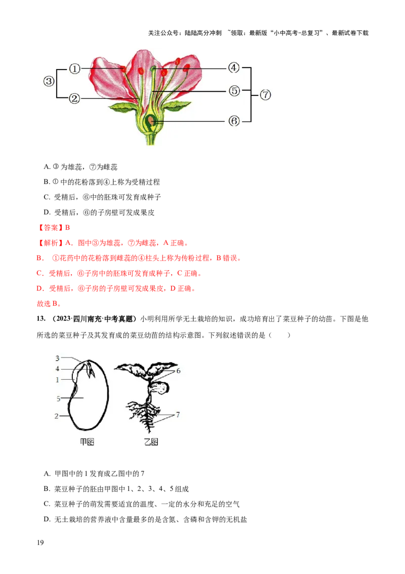 专题05被子植物的一生（练习）（解析版）_02中考总复习（2026版更新中）_08-生物-中考总复习_2024年中考复习资料_一轮复习_❤2024年中考生物一轮复习讲练测（全国通用）_练习