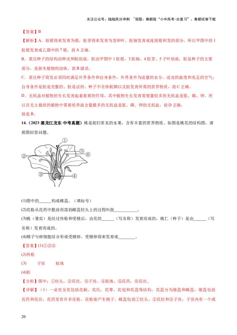 专题05被子植物的一生（练习）（解析版）_02中考总复习（2026版更新中）_08-生物-中考总复习_2024年中考复习资料_一轮复习_❤2024年中考生物一轮复习讲练测（全国通用）_练习