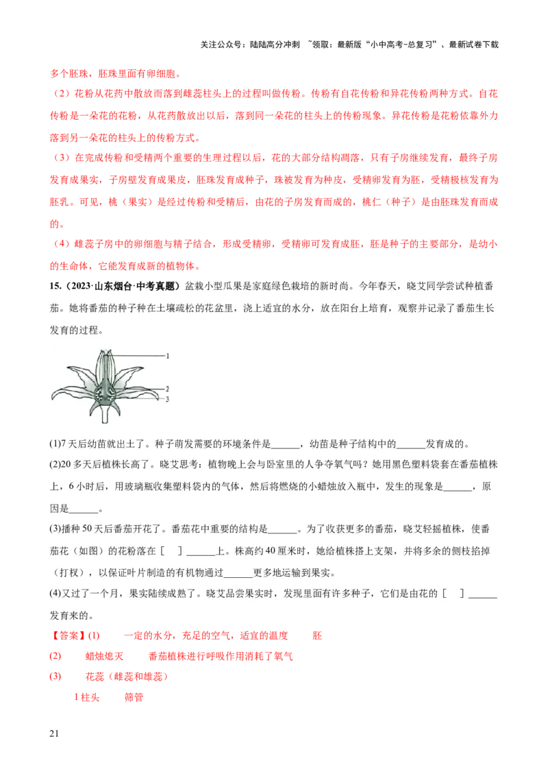 专题05被子植物的一生（练习）（解析版）_02中考总复习（2026版更新中）_08-生物-中考总复习_2024年中考复习资料_一轮复习_❤2024年中考生物一轮复习讲练测（全国通用）_练习