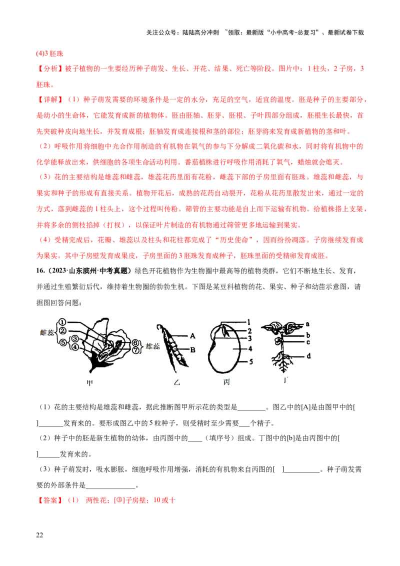 专题05被子植物的一生（练习）（解析版）_02中考总复习（2026版更新中）_08-生物-中考总复习_2024年中考复习资料_一轮复习_❤2024年中考生物一轮复习讲练测（全国通用）_练习
