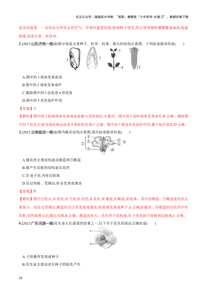 专题05被子植物的一生（练习）（解析版）_02中考总复习（2026版更新中）_08-生物-中考总复习_2024年中考复习资料_一轮复习_❤2024年中考生物一轮复习讲练测（全国通用）_练习
