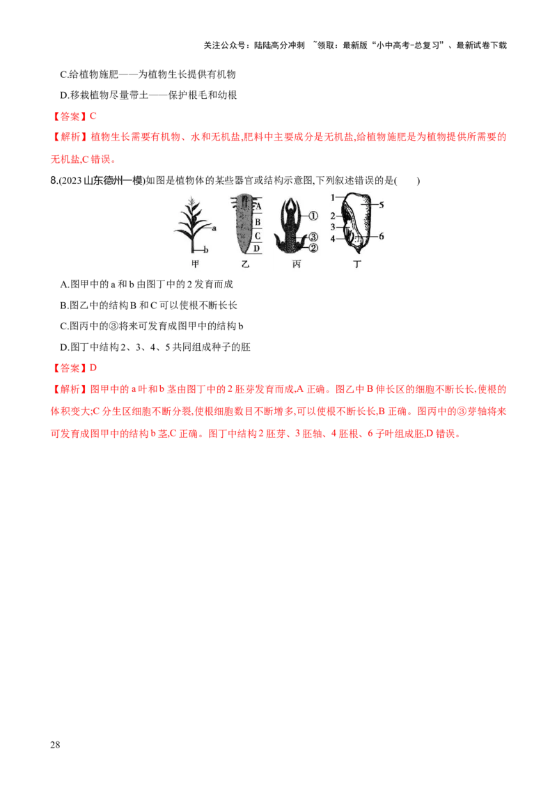 专题05被子植物的一生（练习）（解析版）_02中考总复习（2026版更新中）_08-生物-中考总复习_2024年中考复习资料_一轮复习_❤2024年中考生物一轮复习讲练测（全国通用）_练习