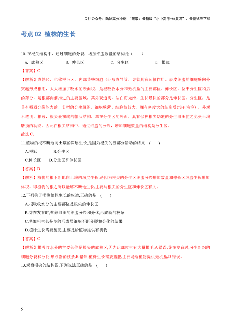 专题05被子植物的一生（练习）（解析版）_02中考总复习（2026版更新中）_08-生物-中考总复习_2024年中考复习资料_一轮复习_❤2024年中考生物一轮复习讲练测（全国通用）_练习