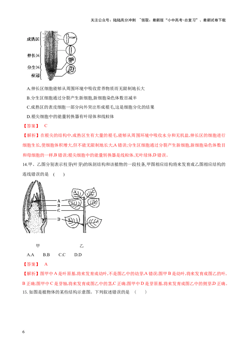 专题05被子植物的一生（练习）（解析版）_02中考总复习（2026版更新中）_08-生物-中考总复习_2024年中考复习资料_一轮复习_❤2024年中考生物一轮复习讲练测（全国通用）_练习
