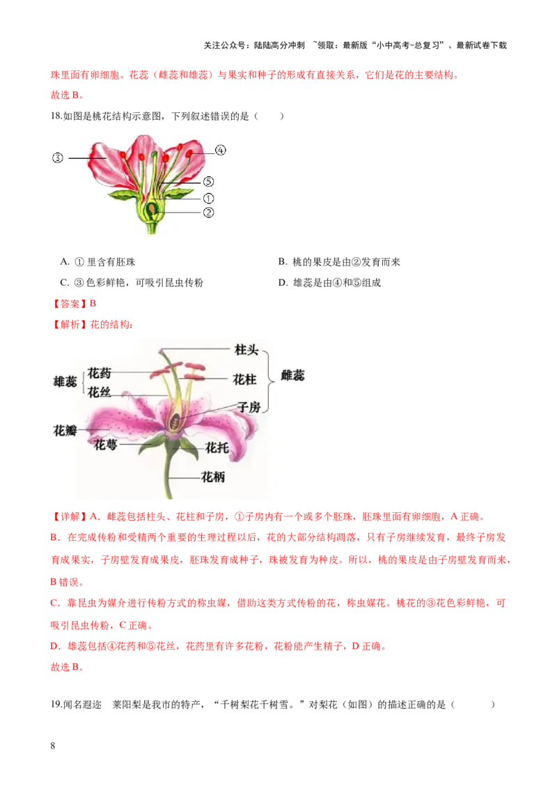 专题05被子植物的一生（练习）（解析版）_02中考总复习（2026版更新中）_08-生物-中考总复习_2024年中考复习资料_一轮复习_❤2024年中考生物一轮复习讲练测（全国通用）_练习