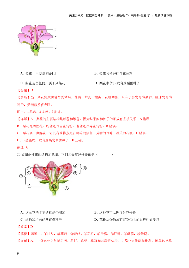 专题05被子植物的一生（练习）（解析版）_02中考总复习（2026版更新中）_08-生物-中考总复习_2024年中考复习资料_一轮复习_❤2024年中考生物一轮复习讲练测（全国通用）_练习