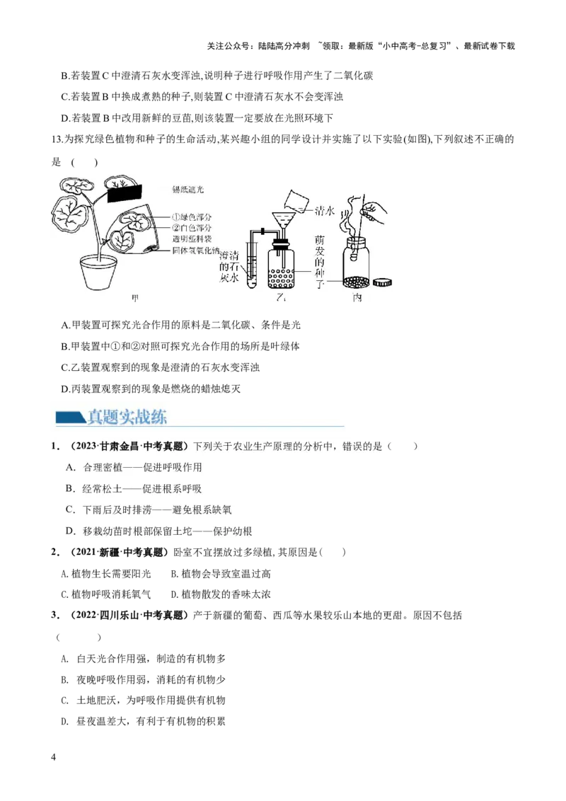 专题08绿色植物的呼吸作用（练习）（原卷版）_02中考总复习（2026版更新中）_08-生物-中考总复习_2024年中考复习资料_一轮复习_❤2024年中考生物一轮复习讲练测（全国通用）_练习