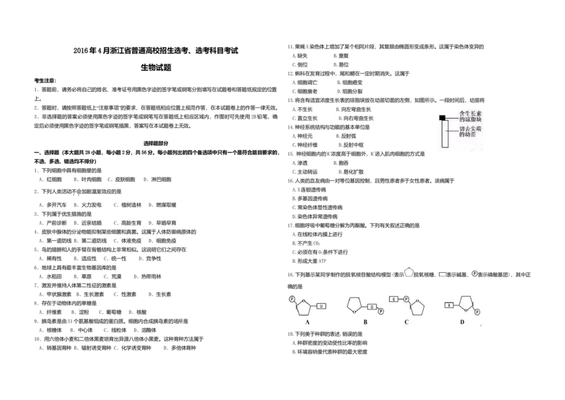 2016年浙江省高考生物4月（解析版）_全国卷+地方卷_6.生物_1.生物高考真题试卷_2008-2020年_地方卷_浙江高考生物08-21_A3word版