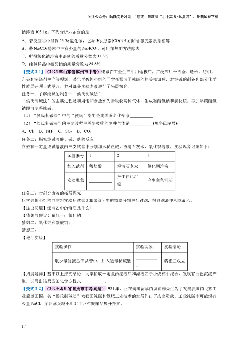 专题08盐化肥（讲义）-2024年中考化学一轮复习讲练测（全国通用）（原卷版）_02中考总复习（2026版更新中）_05-化学-中考总复习_2024年中考复习资料_一轮复习资料