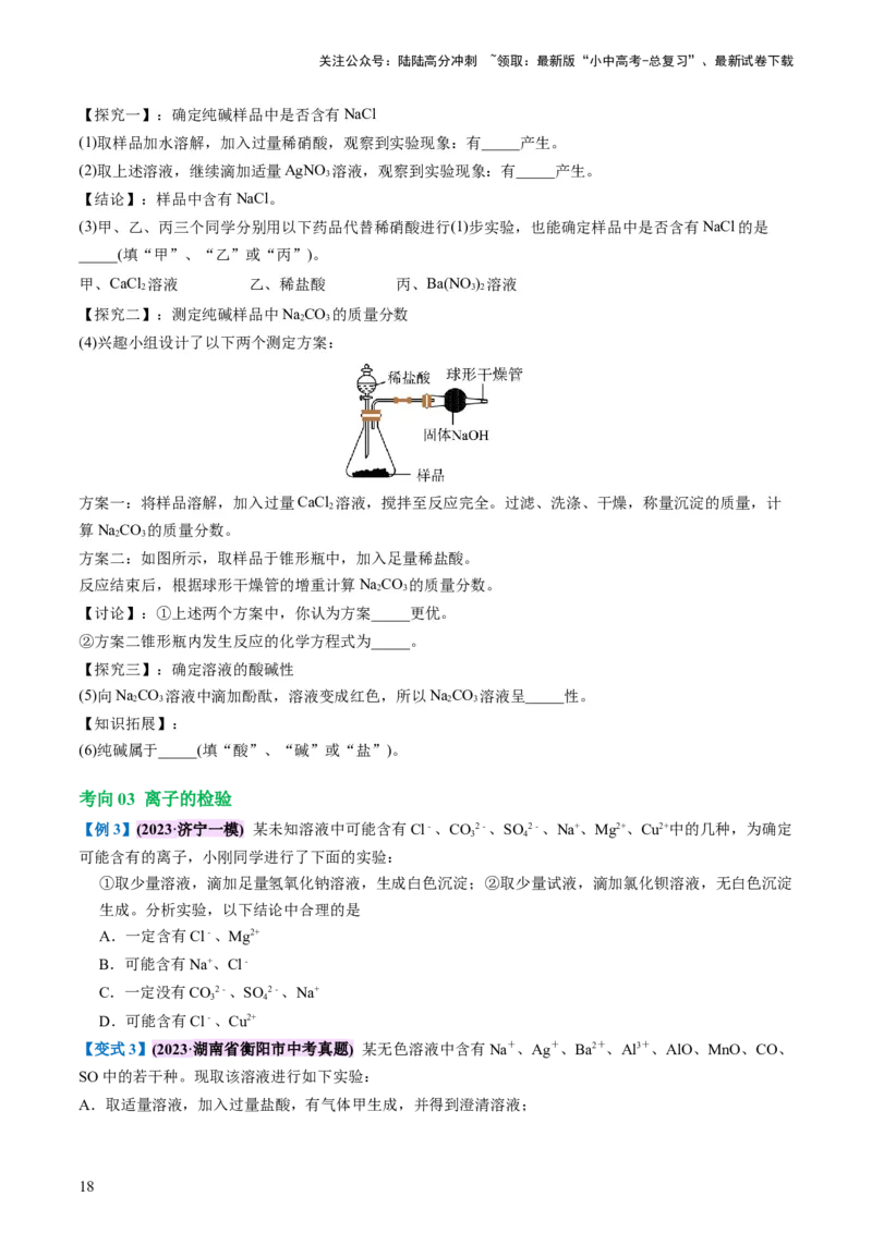专题08盐化肥（讲义）-2024年中考化学一轮复习讲练测（全国通用）（原卷版）_02中考总复习（2026版更新中）_05-化学-中考总复习_2024年中考复习资料_一轮复习资料