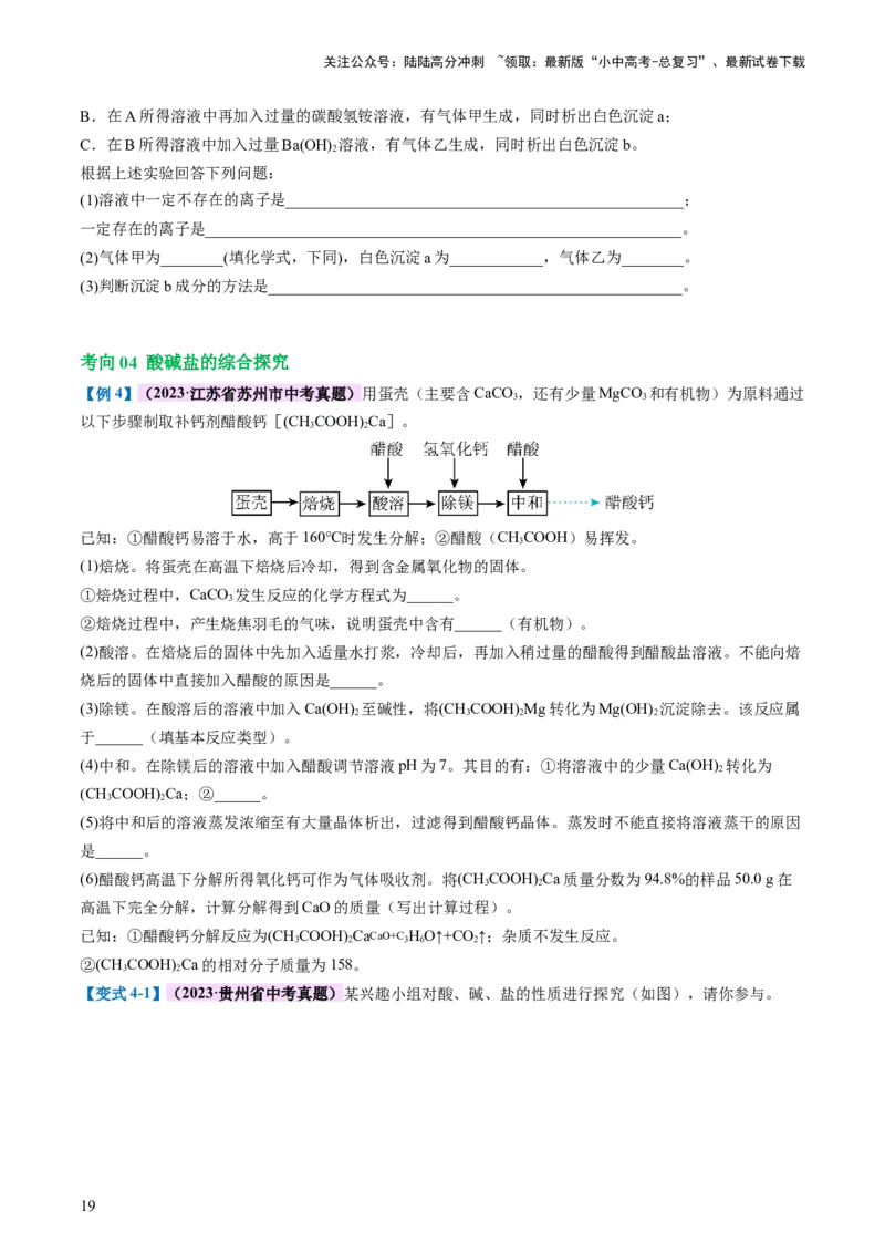 专题08盐化肥（讲义）-2024年中考化学一轮复习讲练测（全国通用）（原卷版）_02中考总复习（2026版更新中）_05-化学-中考总复习_2024年中考复习资料_一轮复习资料