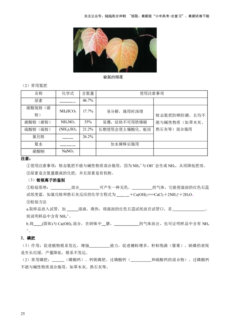 专题08盐化肥（讲义）-2024年中考化学一轮复习讲练测（全国通用）（原卷版）_02中考总复习（2026版更新中）_05-化学-中考总复习_2024年中考复习资料_一轮复习资料