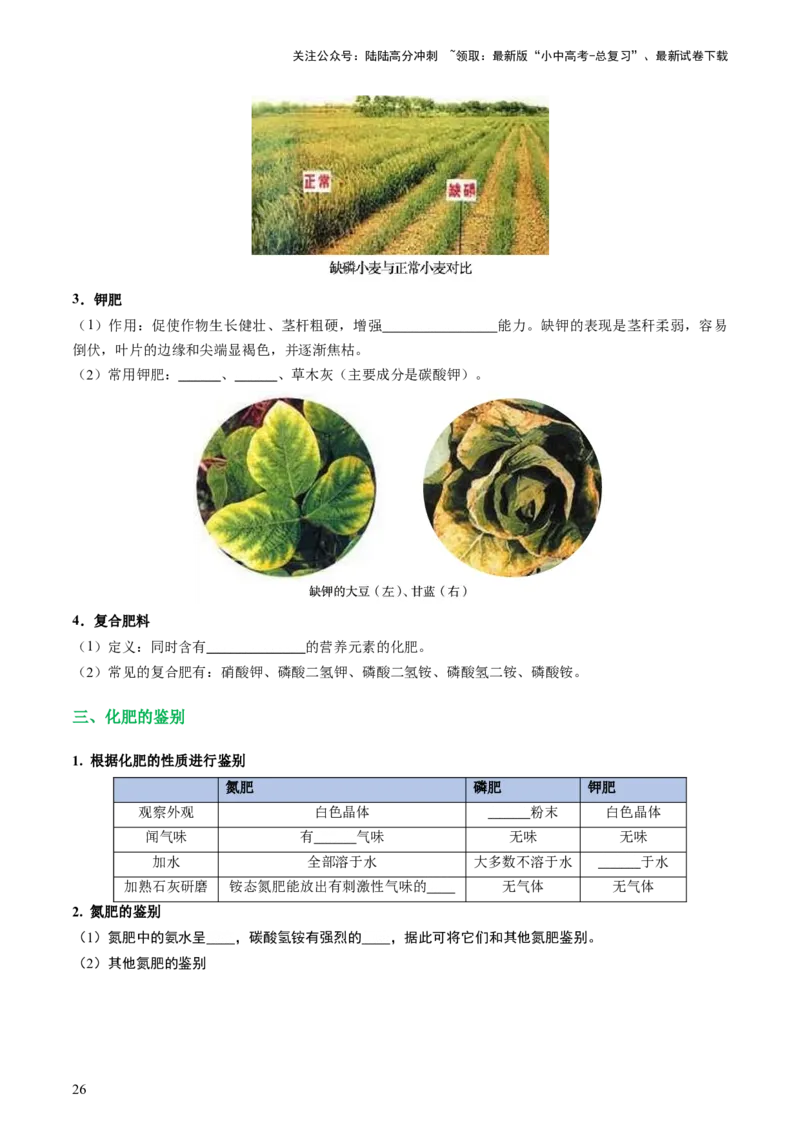 专题08盐化肥（讲义）-2024年中考化学一轮复习讲练测（全国通用）（原卷版）_02中考总复习（2026版更新中）_05-化学-中考总复习_2024年中考复习资料_一轮复习资料