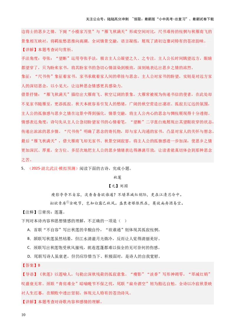 专题08：古诗词鉴赏之诗句赏析(练习）解析版_02中考总复习（2026版更新中）_01-语文-中考总复习_2026年中考复习（更新中）