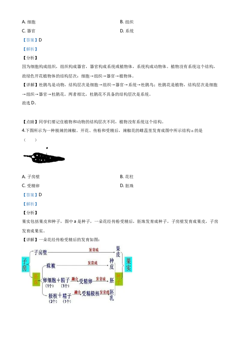 2020年山西省阳泉市中考生物真题（解析卷）_❤山西历年中考真题_8.山西中考生物2018-2025