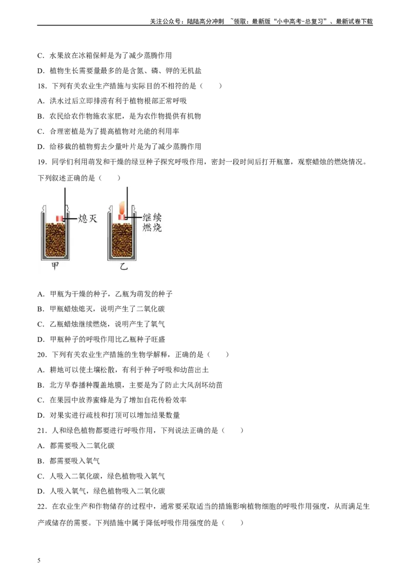 专题08绿色植物的呼吸作用（习题精练）（全国通用）（原卷版）_02中考总复习（2026版更新中）_08-生物-中考总复习_2024年中考复习资料_一轮复习_配套练习（原卷版+解析版）