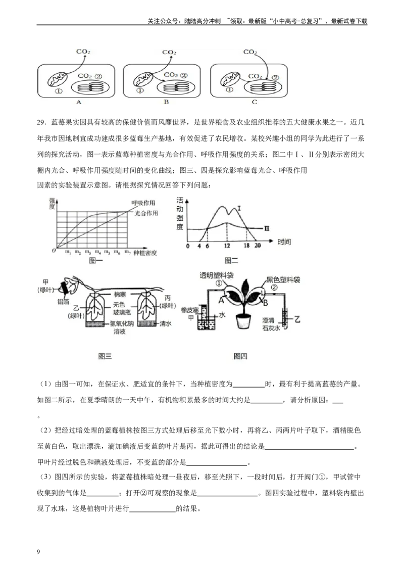 专题08绿色植物的呼吸作用（习题精练）（全国通用）（原卷版）_02中考总复习（2026版更新中）_08-生物-中考总复习_2024年中考复习资料_一轮复习_配套练习（原卷版+解析版）
